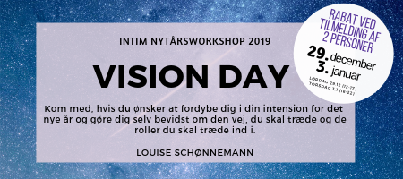 Vision Day - Intim Nytårsworkshop 2019