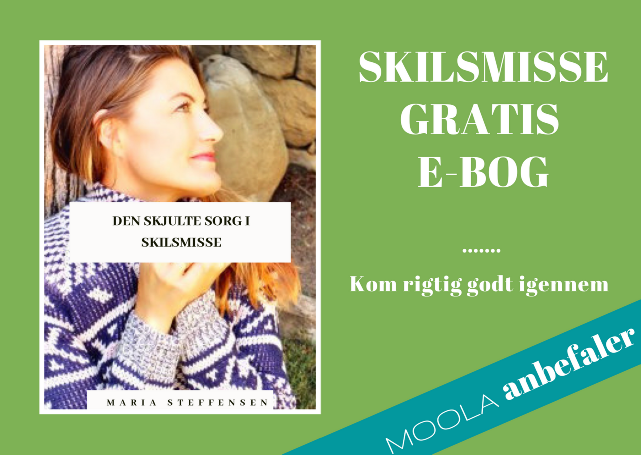 MOOLA anbefaler: Maria Steffensens Gratis E-bog: Skilsmisse - Kom rigtig godt igennem! find den her