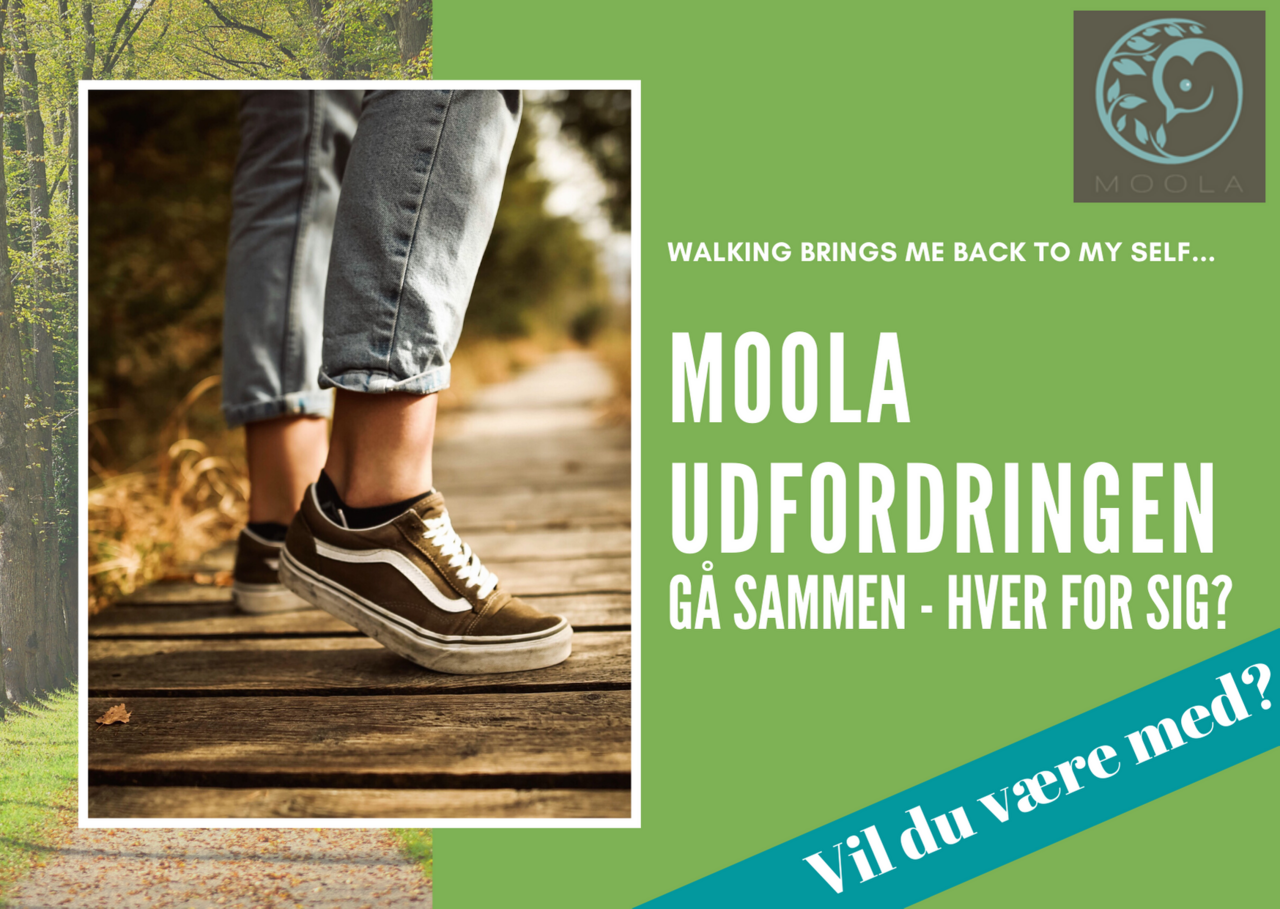 Skal vi gå sammen hver for sig? MOOLA udfordring klik for at finde den på endomondo