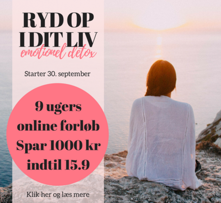 RYD OP I DIT LIV - 9 ugers emotionel detoxs forløb