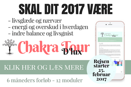Klik her og læs mere om Mariakaisas Chakra Tour D'lux