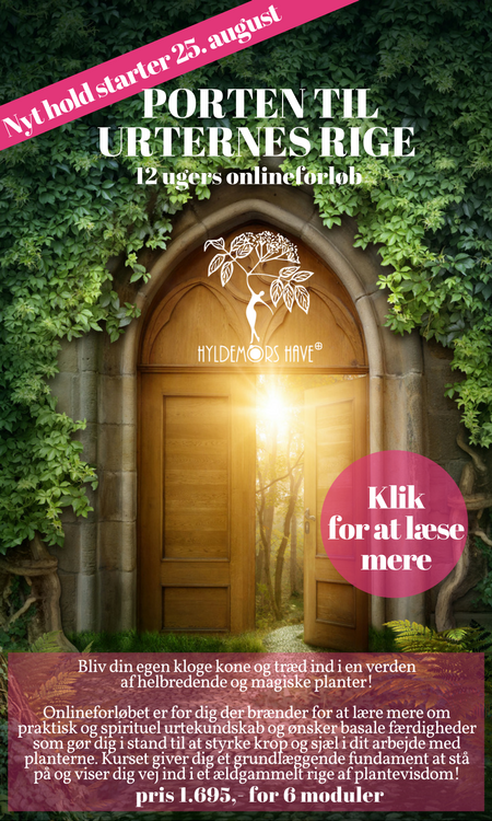 Klik for at læse mere om online kurset - Porten til urternes rige med hyldemorshave