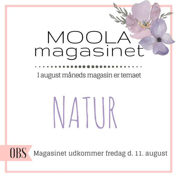 Hvad sker der i MOOLA magasinet i august
