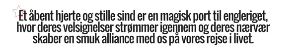 Et åbent hjerte og stille sind er en magisk port til engleriget, hvor deres velsignelser strømmer igennem og deres nærvær skaber en smuk alliance med os på vores rejse i livet.