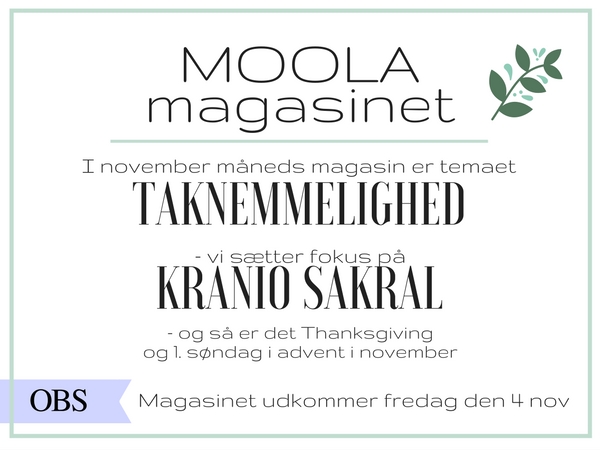 Hvad kan du vente dig af MOOLA magasinet i november