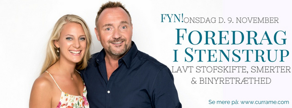 Foredrag i Jellinge-2