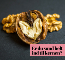 Er du sund - helt ind i kernen? Artikel af Lisbeth Raaschou