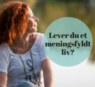 Lever du et meningsfyldt liv?