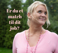 Er du et match til dit job?