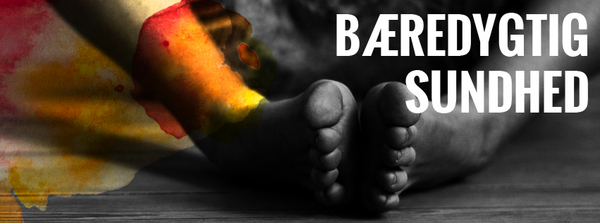 NadiaZarling[COVER]01_baeredygtig