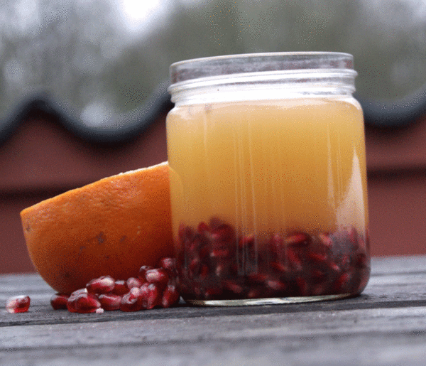 kefir - the love drink af Tina Holm