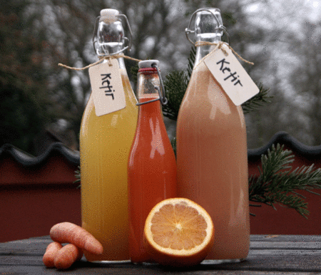 kefir - the love drink af Tina Holm