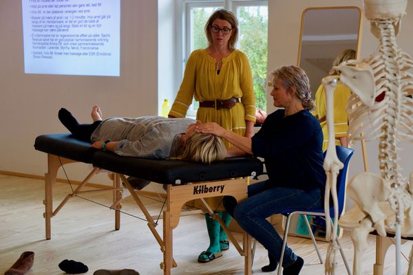 kinesiologi-kursus kinesiologi-kursus