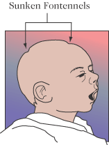 SUND FORNUFT OM FEBER af Mette Mitchell